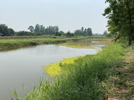  Grundstück zu verkaufen in Manorom, Chai Nat, Tha Chanuan, Manorom