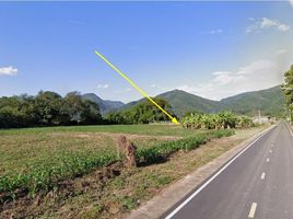  Land for sale in Thung Chang, Nan, Thung Chang, Thung Chang