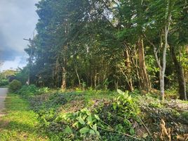  Земельный участок for sale in Mueang Krabi Краби, Khao Thong, Mueang Krabi, Краби