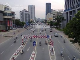 Studio Villa zu verkaufen in Dong Da, Hanoi, Lang Ha