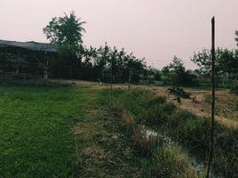  Land for sale in Suphan Buri, Hua Khao, Doem Bang Nang Buat, Suphan Buri