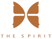 Developer of The Spirits
