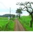  Land for sale in San Ramon, Alajuela, San Ramon