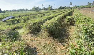 N/A Land for sale in Wat Lamut, Nakhon Pathom 