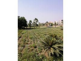 3 Schlafzimmer Villa zu verkaufen im Allegria, Sheikh Zayed Compounds, Sheikh Zayed City, Giza