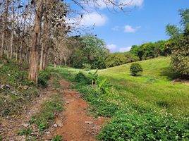  Grundstück zu verkaufen in Mae Chan, Chiang Rai, Chan Chawa