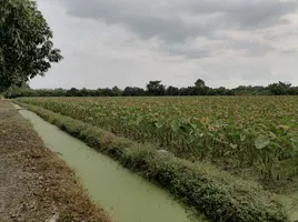  Land for sale in Ban Mo Saraburi, Horathep, Ban Mo, Saraburi, Thailand