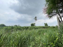  Land for sale in Si Racha, Chon Buri, Nong Kham, Si Racha