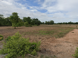 在呵叻府出售的 土地, Banlang, Non Thai, 呵叻府