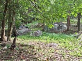  Grundstück zu verkaufen im Santikhiri Estate, Na Mueang, Koh Samui, Surat Thani