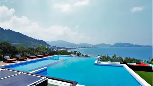 사진들 1 of the Communal Pool at The Privilege