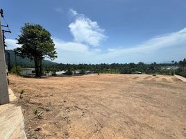  Grundstück zu verkaufen in Maenam, Surat Thani, Maenam