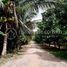  Land for sale in Chaong Maong, Tuek Phos, Chaong Maong