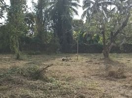  Land for sale in San Pa Tong, Chiang Mai, Ban Mae, San Pa Tong