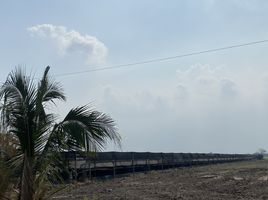  Grundstück zu verkaufen in Lat Lum Kaeo, Pathum Thani, Bo Ngoen