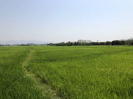  Grundstück zu verkaufen in Mae Rim, Chiang Mai, Khi Lek, Mae Rim