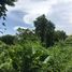  Land for sale in Bali, Canggu, Badung, Bali