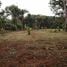  Land for sale in Thao Thep Kasattri Thao Sri Sunthon Monument, Si Sunthon, Si Sunthon