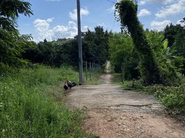  Land for sale in Chiang Mai, Mae Taeng, Mae Taeng, Chiang Mai