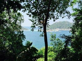  Land for sale in Surat Thani, Ko Tao, Ko Pha-Ngan, Surat Thani