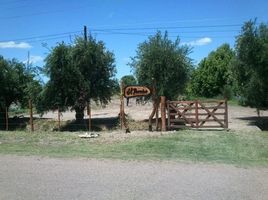 Grundstück zu verkaufen in San Rafael, Mendoza, San Rafael, Mendoza, Argentinien