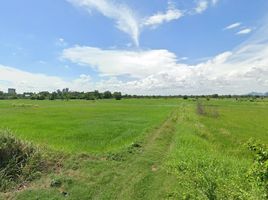  Grundstück zu verkaufen in Tha Ruea, Phra Nakhon Si Ayutthaya, Tha Luang, Tha Ruea