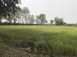  Land for sale in Phitsanulok, Khui Muang, Bang Rakam, Phitsanulok