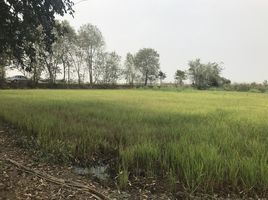  Land for sale in Bang Rakam, Phitsanulok, Khui Muang, Bang Rakam