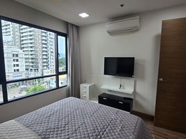 1 Schlafzimmer Wohnung zu verkaufen im The Shine Condominium, Chang Khlan, Mueang Chiang Mai