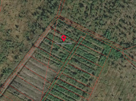  Land for sale in Chachoengsao, Tha Thong Lang, Bang Khla, Chachoengsao