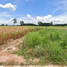  Land for sale in Bueng Phra, Mueang Phitsanulok, Bueng Phra