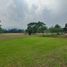  Land for sale in Chiang Mai, Rim Tai, Mae Rim, Chiang Mai