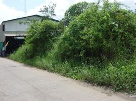  Grundstück zu verkaufen in Mueang Phitsanulok, Phitsanulok, Nai Mueang