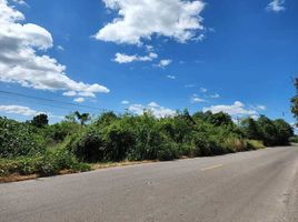  Land for sale in Chon Muang, Ban Mi, Chon Muang