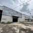  Warehouse for rent in Phra Pradaeng Samut Prakan, Phra Pradaeng, Samut Prakan