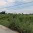  Land for sale in Nong Kham, Si Racha, Nong Kham