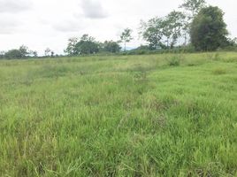  Land for sale in Mueang Chiang Rai, Chiang Rai, Rop Wiang, Mueang Chiang Rai