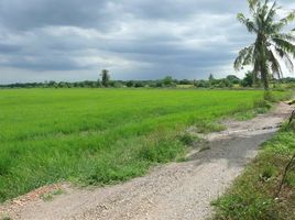  Land for sale in Bang Pla, Bang Len, Bang Pla