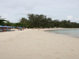  Grundstück zu verkaufen in Koh Samui, Surat Thani, Bo Phut, Koh Samui