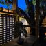 3 Bedroom House for sale in Mueang Chiang Mai Chiang Mai, Tha Sala