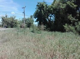  Land for sale in Ang Thong, Kham Yat, Pho Thong, Ang Thong