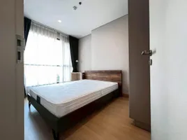 คอนโด 1 ห้องนอน ให้เช่า ในโครงการ ลุมพินี สวีท เพชรบุรี-มักกะสัน, มักกะสัน, ราชเทวี, กรุงเทพมหานคร