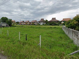  Grundstück zu verkaufen in Hang Dong, Chiang Mai, Nong Khwai