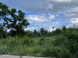  Grundstück zu verkaufen in Pran Buri, Prachuap Khiri Khan, Pak Nam Pran