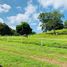  Land for sale in Orotina, Alajuela, Orotina