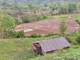  Grundstück zu verkaufen in Bo Kluea, Nan, Bo Kluea Nuea, Bo Kluea