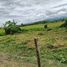  Grundstück zu verkaufen in Mae Lao, Chiang Rai, Bua Sali, Mae Lao, Chiang Rai