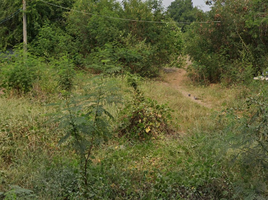  Grundstück zu verkaufen in Mueang Nakhon Sawan, Nakhon Sawan, Nong Pling