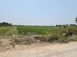  Land for sale in Ban Pong, Ratchaburi, Nong Pla Mo, Ban Pong