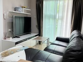 1 Bedroom Condo for sale at One Plus Nineteen 3, Chang Khlan, Mueang Chiang Mai, Chiang Mai